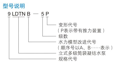 LDTN型凝成人深夜直播APP