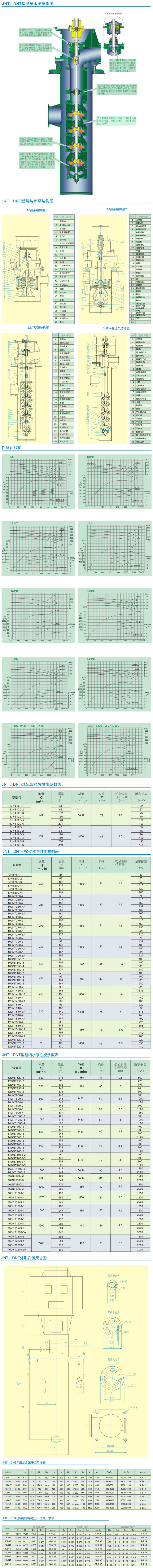 DNT型凝成人深夜直播APP