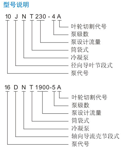 JNT型凝成人深夜直播APP