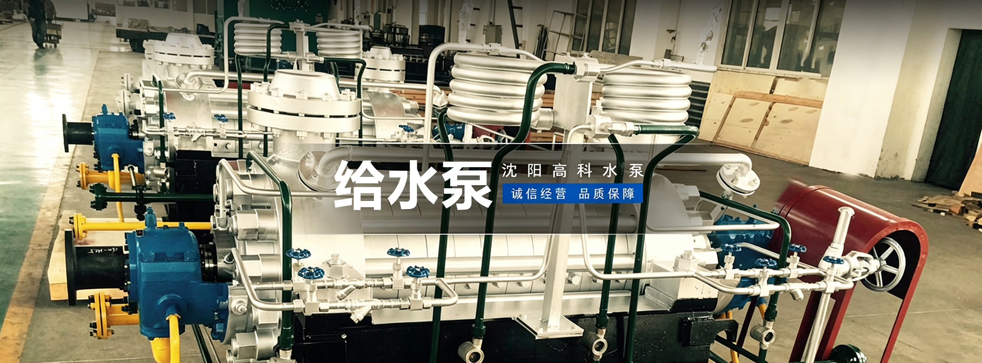 深夜免费福利下载厂家